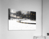 Walk On a Winter Day Acrylic Print
