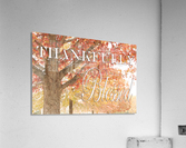 Thankfully Blessed Acrylic Print