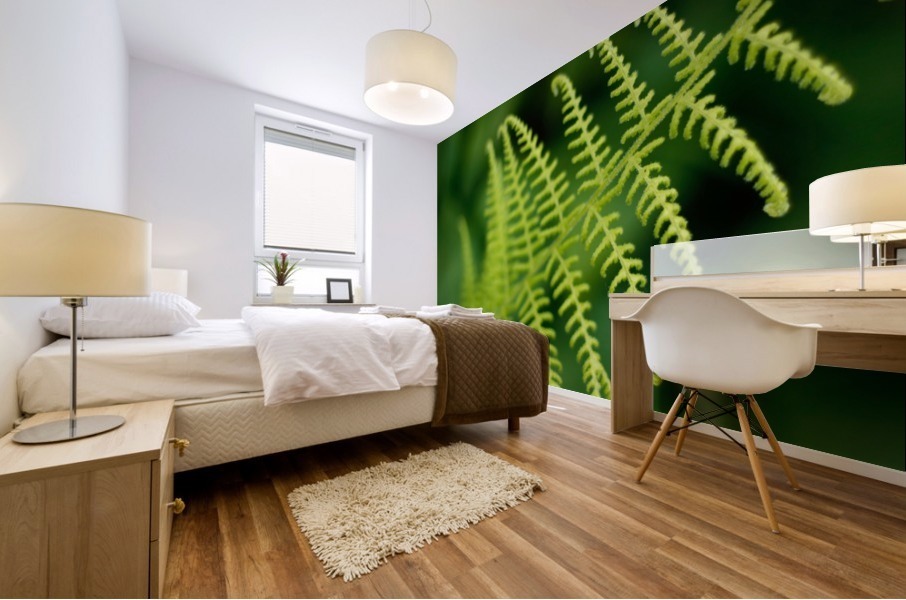 Fern Mural print