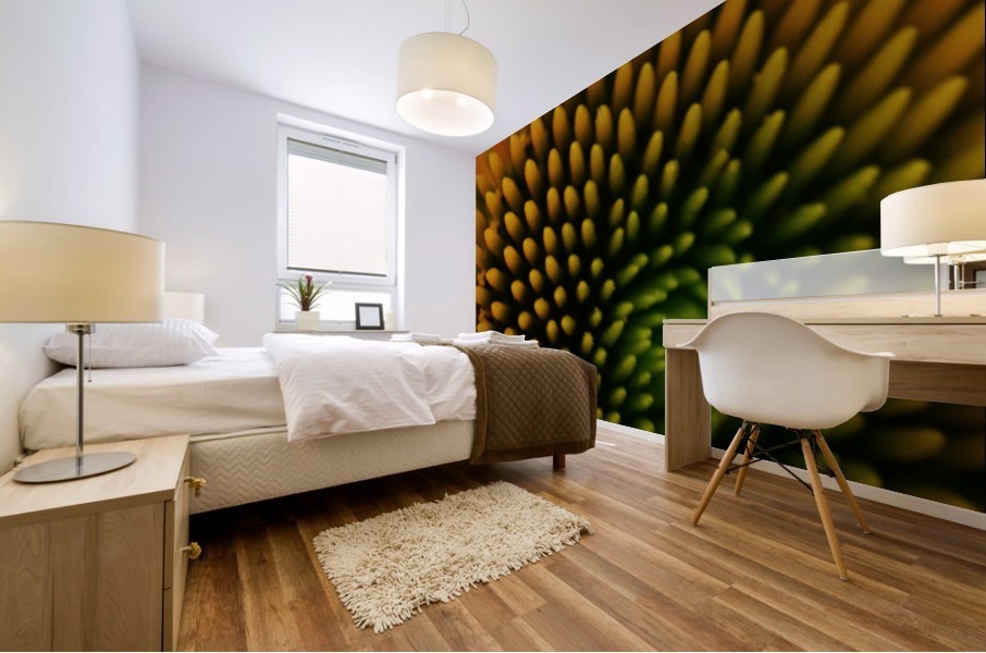 Circular Lines Mural print