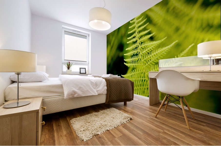 Fern Leaf Mural print