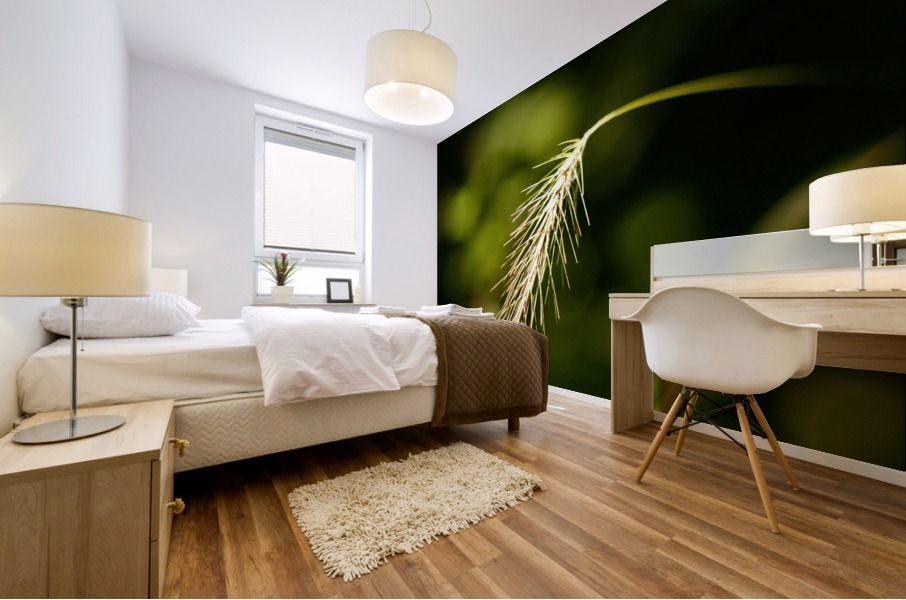 Lighted Grass Mural print
