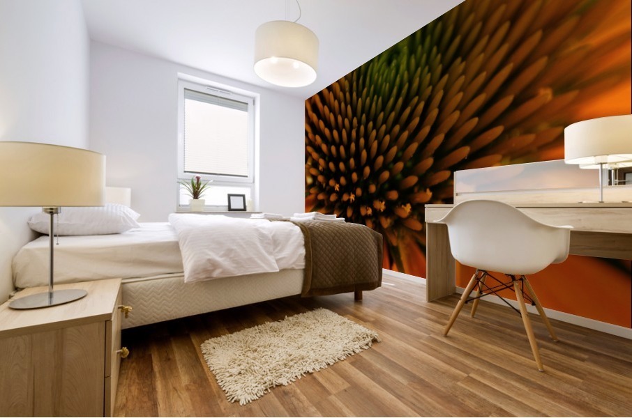 Patterns in Nature Mural print