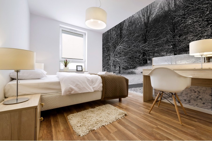 Pathway Mural print