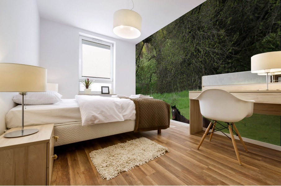 Lone Stallion Mural print