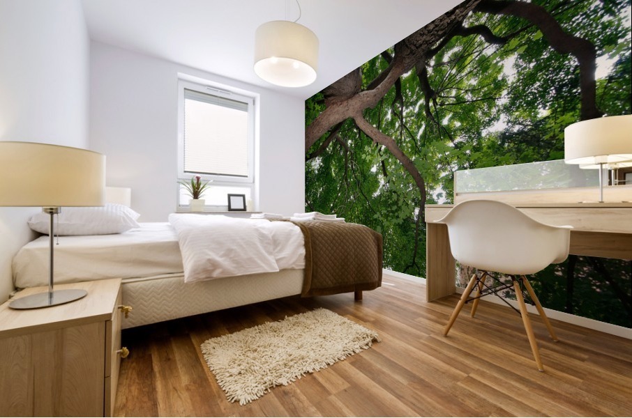 If Trees Could Talk  Mural print