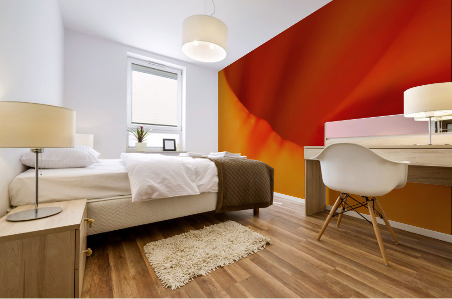 Dream Sicle  Mural print