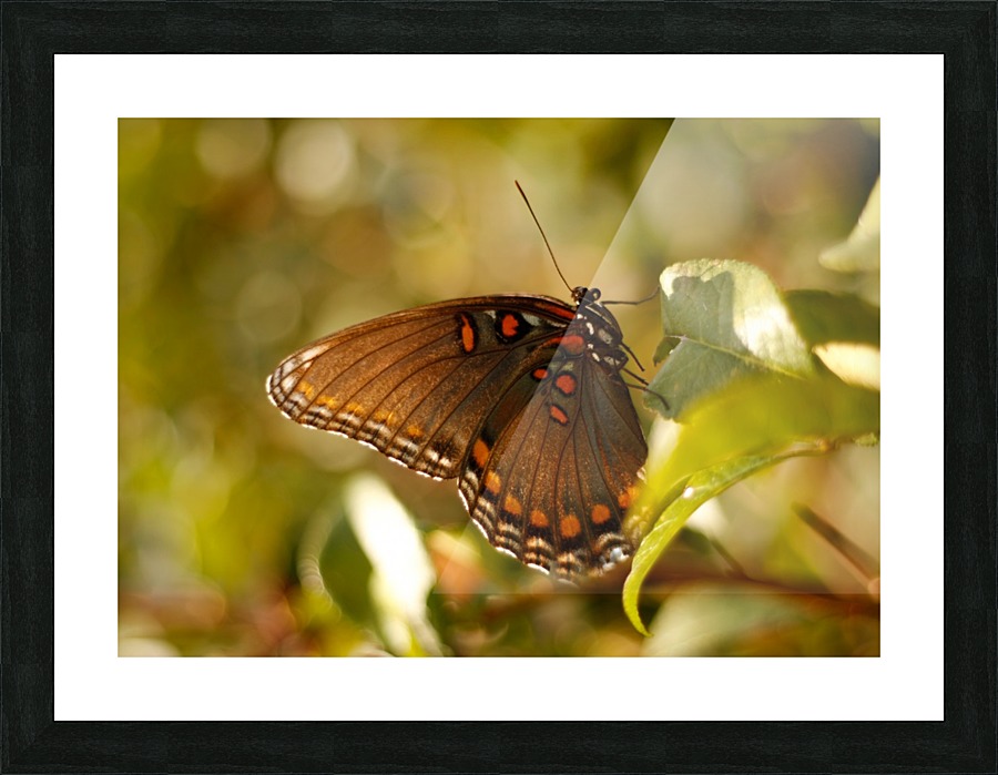 Presence  Picture Frame print