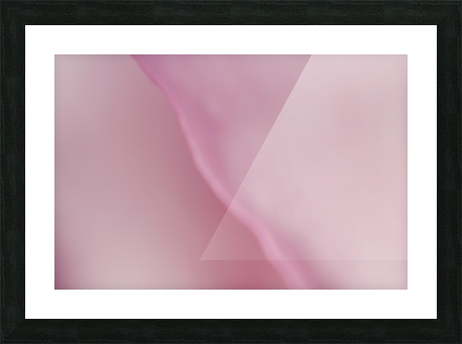 Subtle and Soft Pinks Picture Frame print