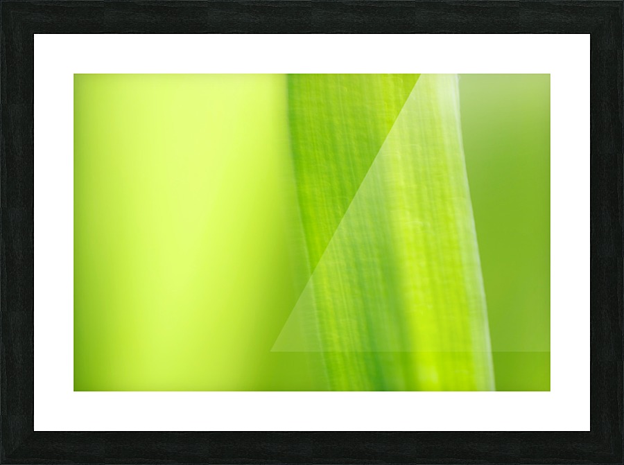Subtle Greens Picture Frame print