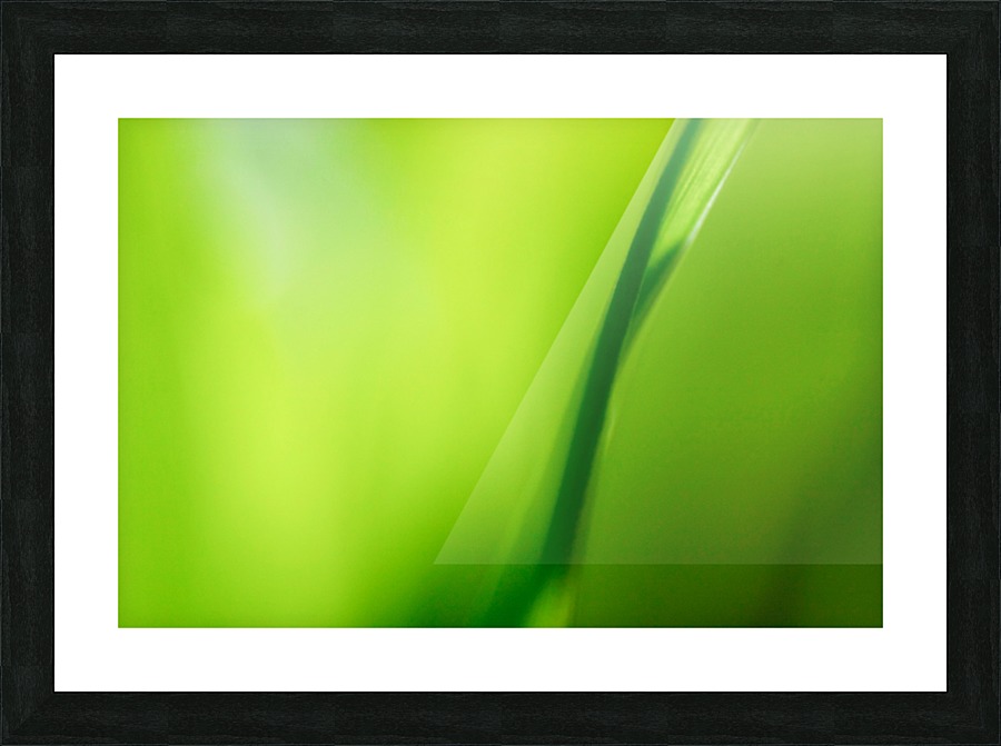 Blade  Picture Frame print