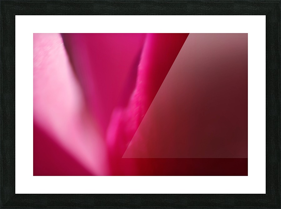 Ombre Pinks Picture Frame print