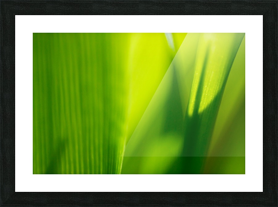 Macro Grass Picture Frame print