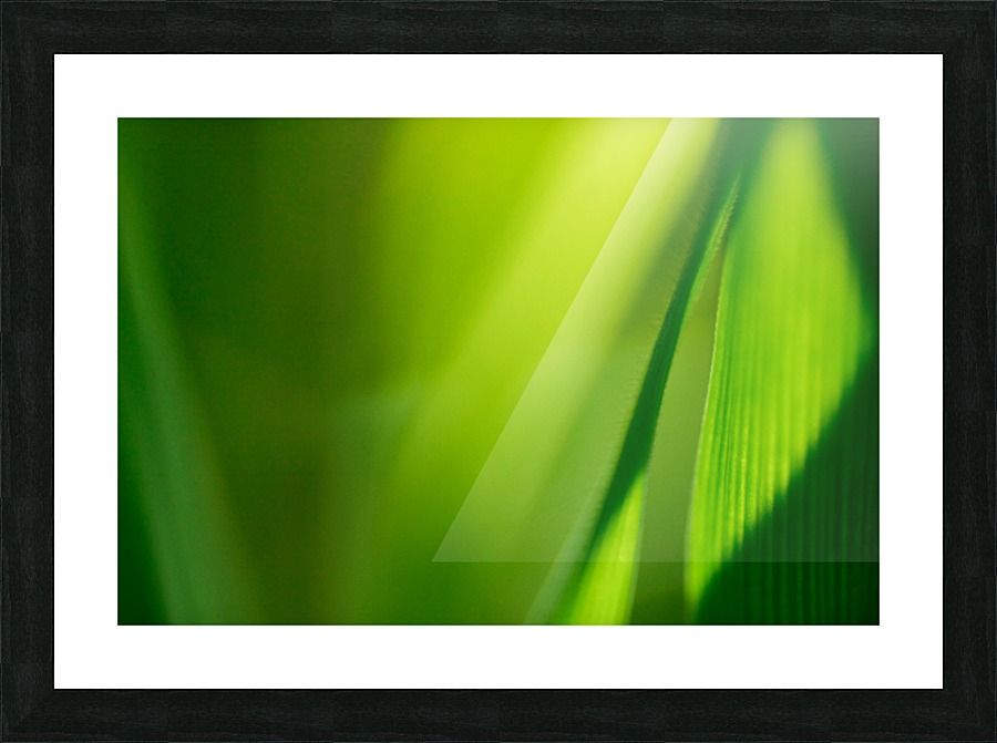 Dramatic Value Greens Picture Frame print