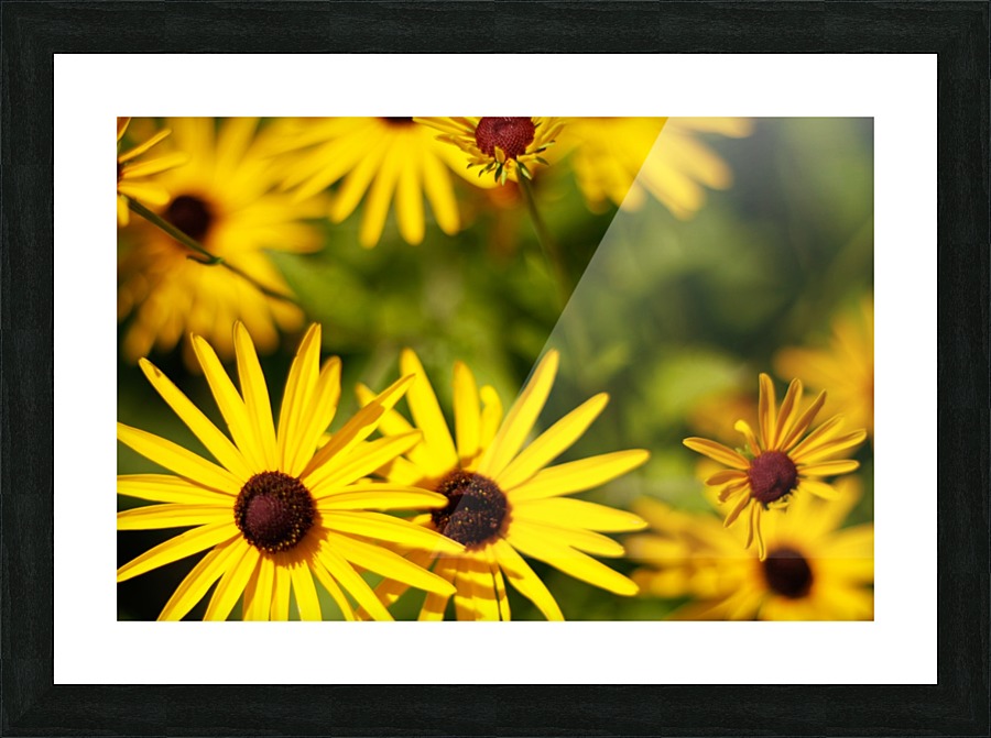 Happy Faces Picture Frame print