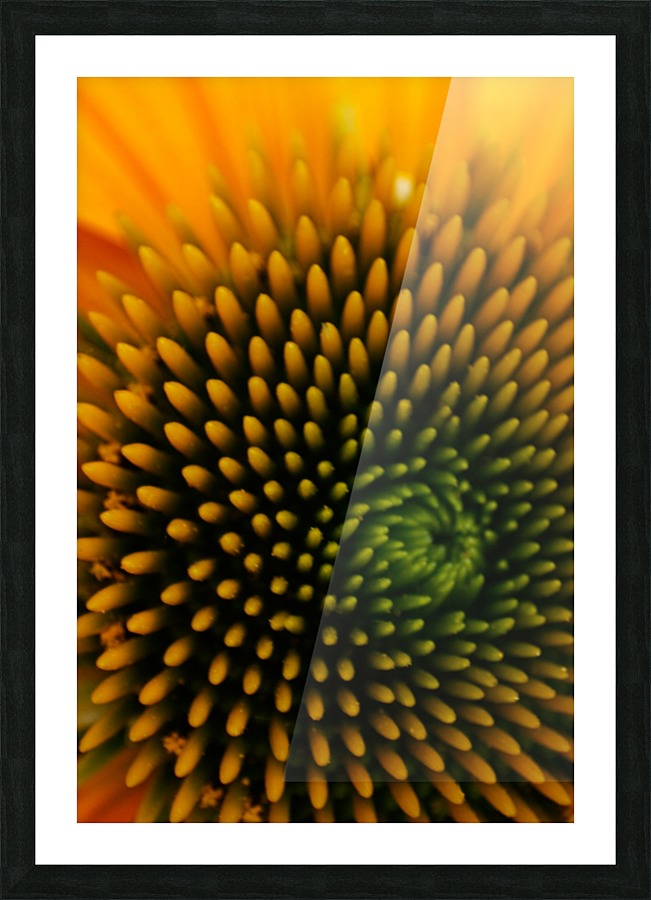 Circular Lines Picture Frame print