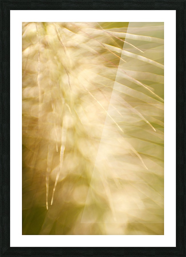 Brilliant Light Picture Frame print