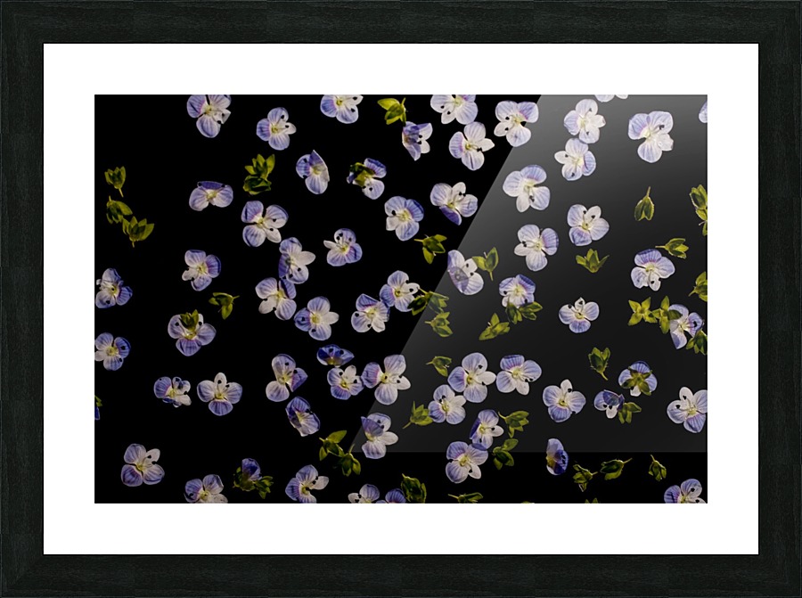 millefiori Picture Frame print