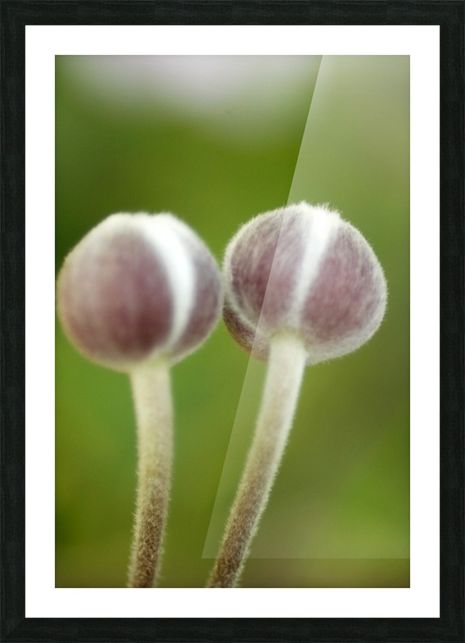 Twins Picture Frame print
