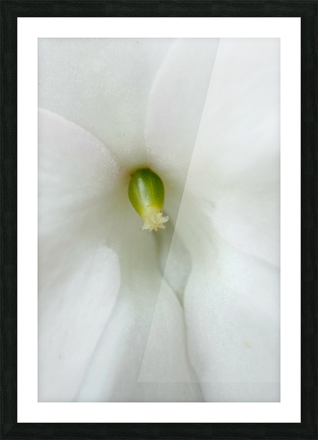 Pure Picture Frame print