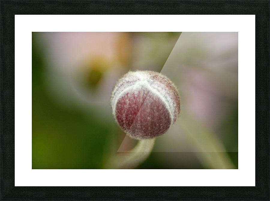 Sweetness Picture Frame print