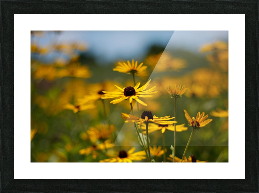 Under a Blue Sky Picture Frame print