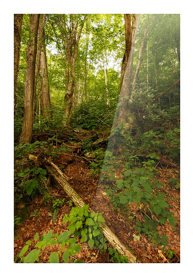 Journey Picture Frame print