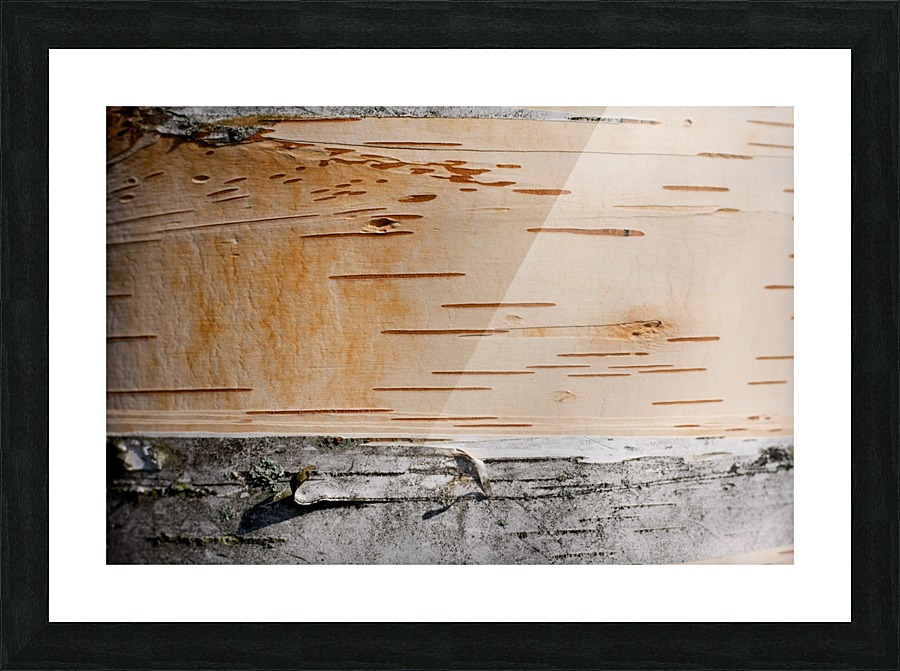Tree Bark Picture Frame print