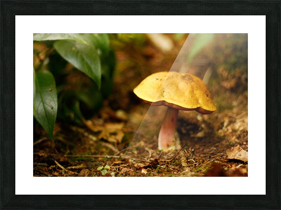 Forest Friend Picture Frame print