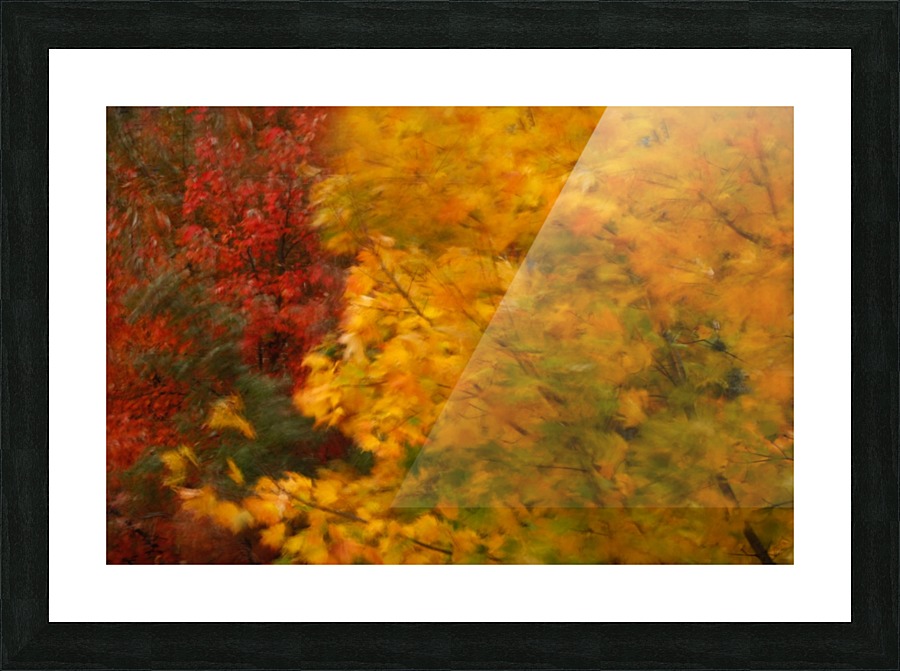 Wind Picture Frame print