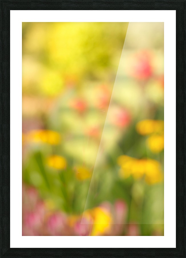 Nod to Monet Picture Frame print
