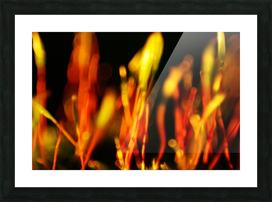 Fire Picture Frame print