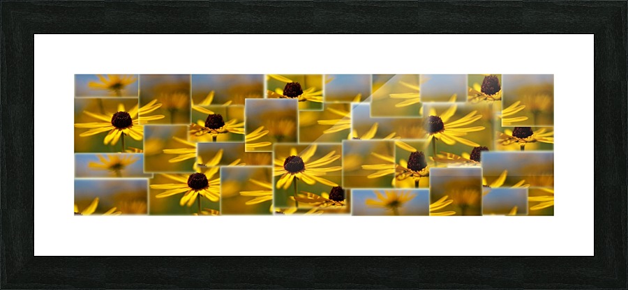Sky Collage Picture Frame print