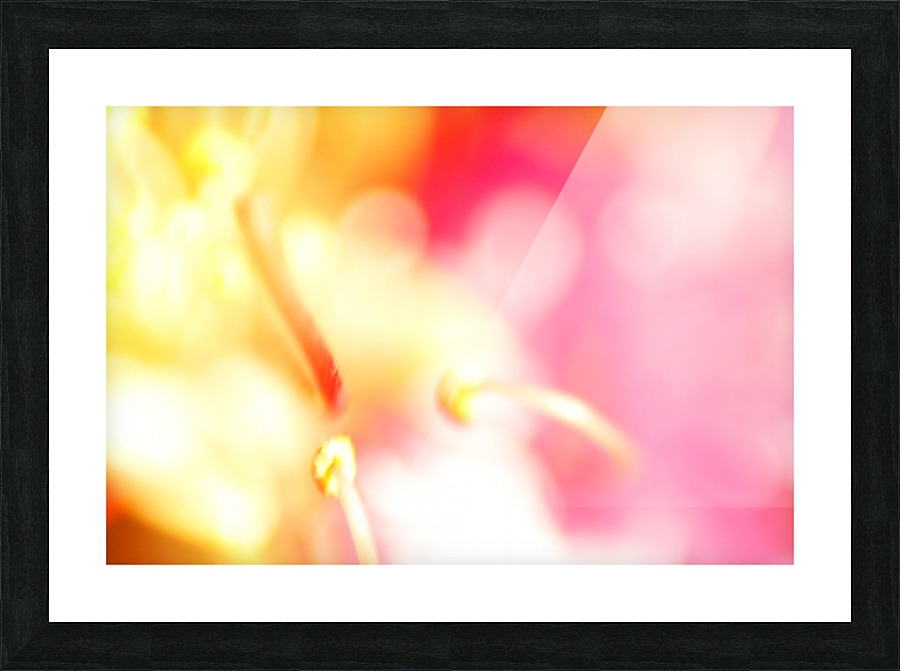 Pink Piston  Picture Frame print