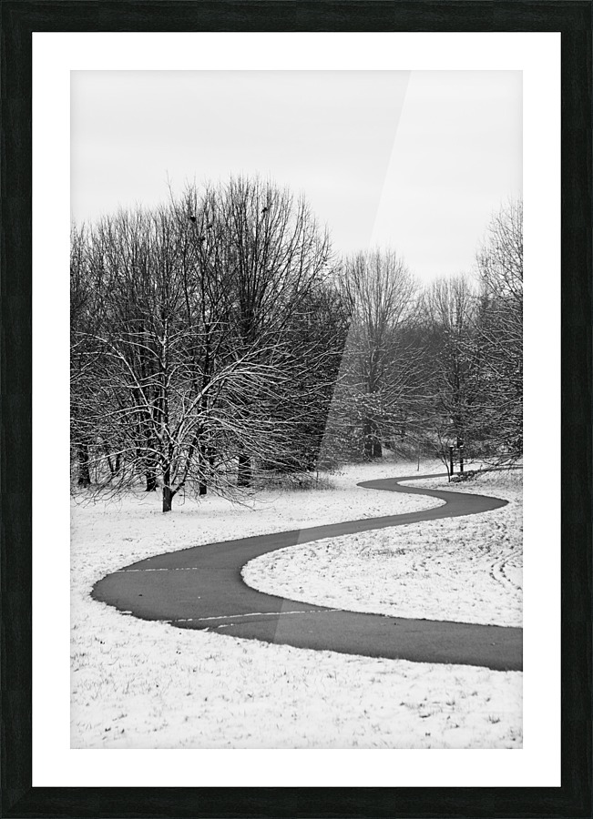 Pathway Picture Frame print