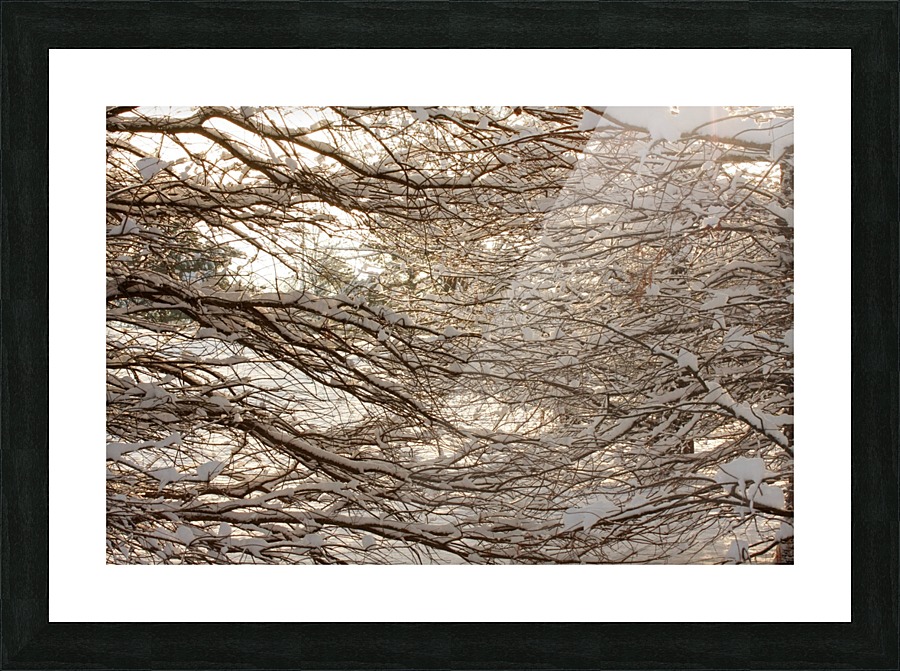 Snowy Trees Picture Frame print