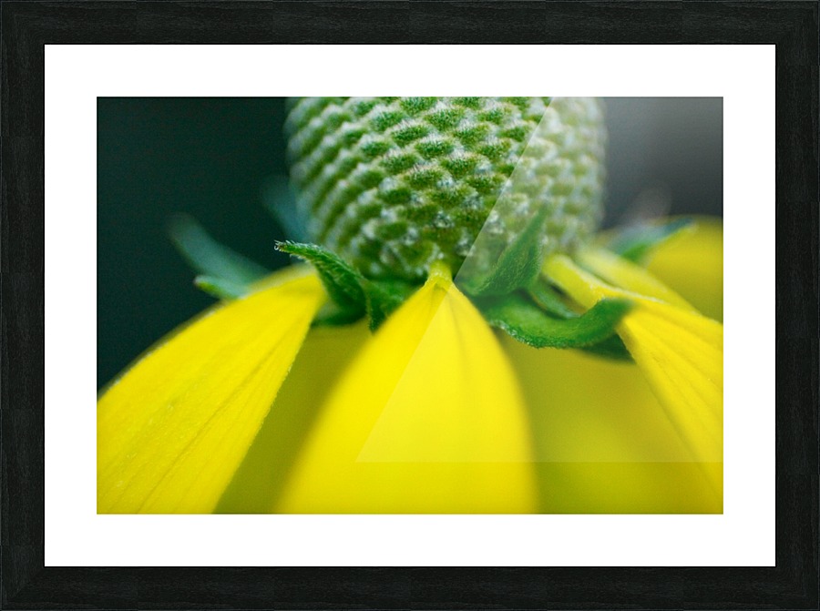 Pretty Petits Picture Frame print