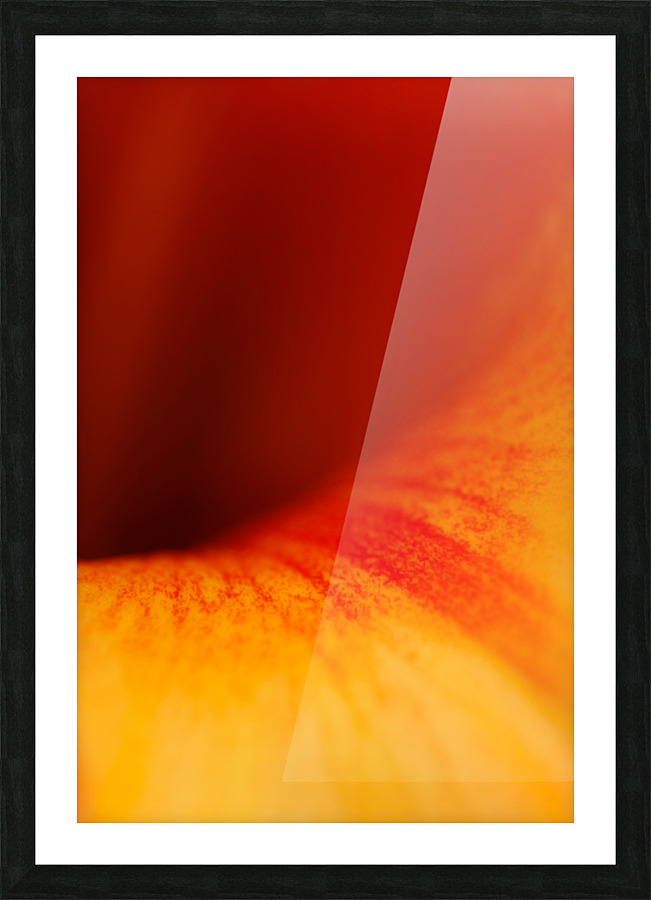Orange Vortex  Picture Frame print