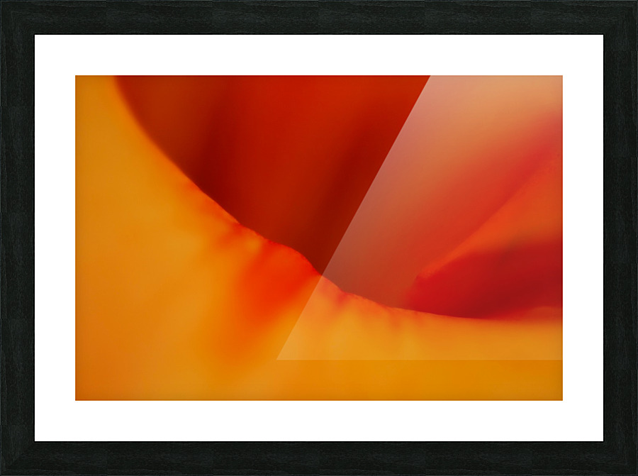 Dream Sicle  Picture Frame print