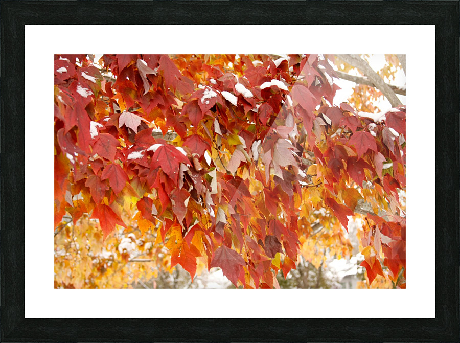 Fall Finale  Picture Frame print