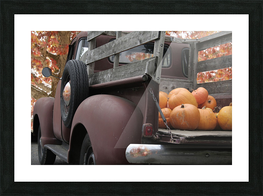 Picking Pumpkins Picture Frame print