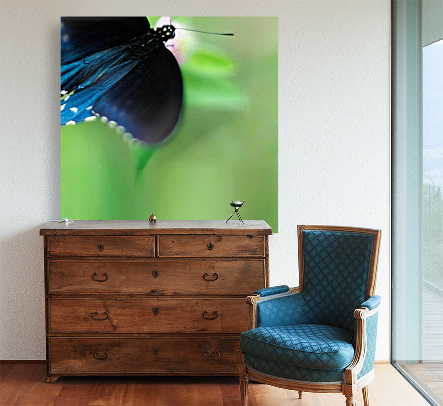 Fly By Reproduction
