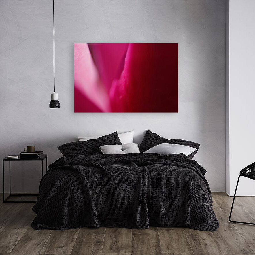 Ombre Pinks Reproduction