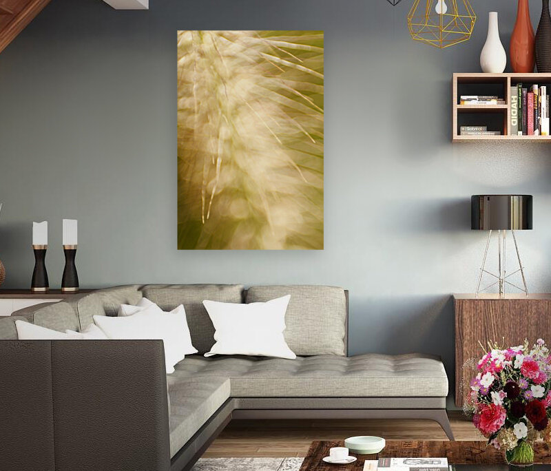 Brilliant Light Reproduction
