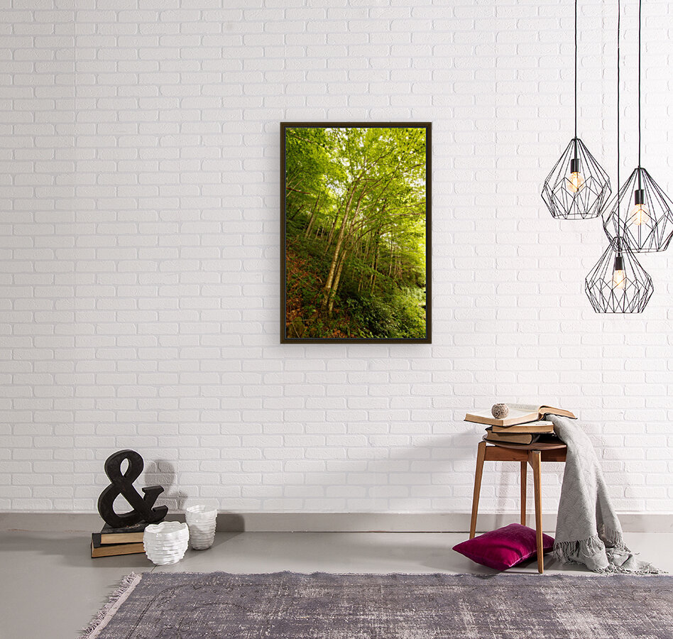 Enchanted Reproduction