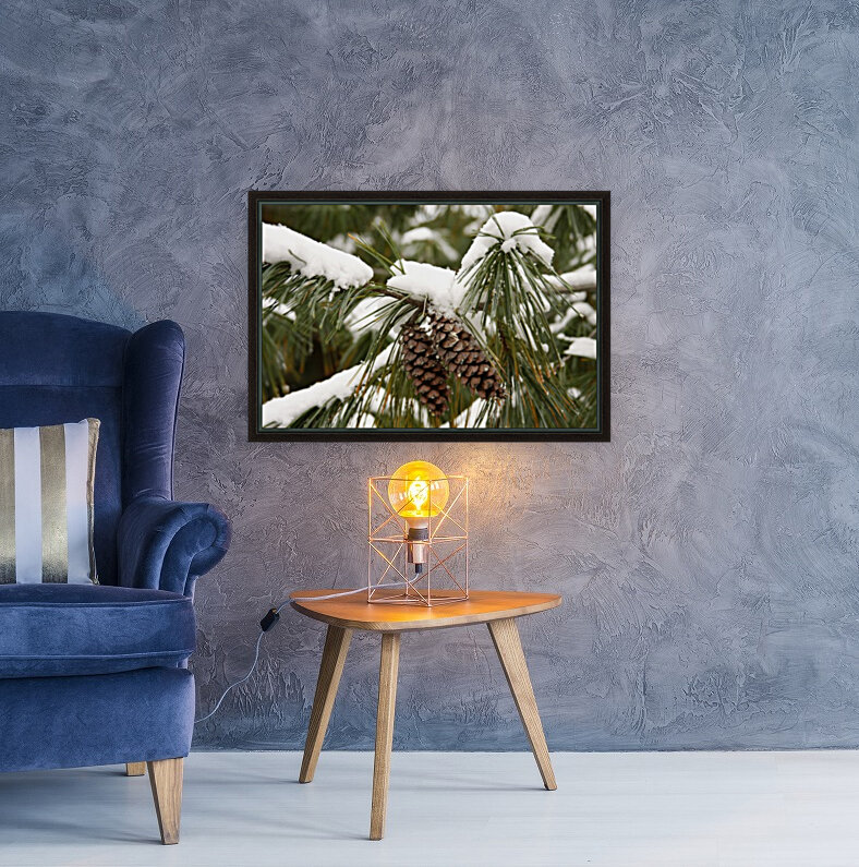 Pinecones and Snow Reproduction