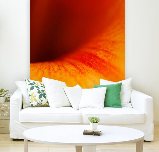 Orange Vortex  Reproduction