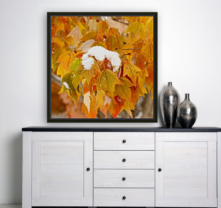 Snow Capped Leaves  Reproduction