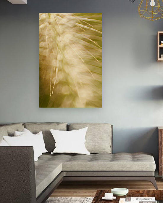 Brilliant Light by CreationLife Me