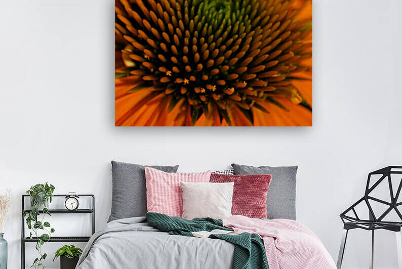 Patterns in Nature by CreationLife Me